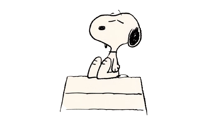 Description of the image